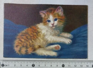 I122460 Cartolina illustrata - Gatto - Picture 1 of 4