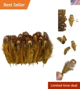 100 Natural Pheasant Feathers (2-3 Inches) - Elegant Crafting Essentials in Gold - Picture 1 of 6