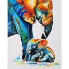 Color Elephant Animal  Posters Prints Wall Picture Canvas Paintings