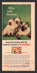 Puss'n Boots Cat Food Siamese Cat & Kittens 1960s Print Advertisement Ad 1963 - Picture 1 of 1