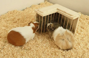 Heuraufe Meerschweinchen Kleintier 80003 - Bild 1 von 7