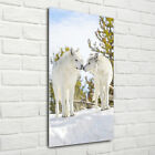 Tulup Glass Print Wall Art 70x140 - Two white wolves