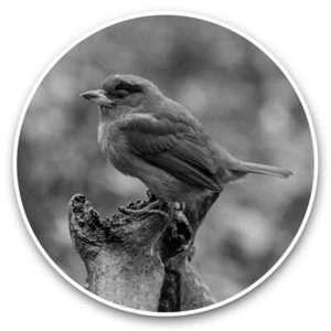 2 x Vinyl Stickers 25cm (bw) - Blue Throated Barbet Bird #35257 - Afbeelding 1 van 8