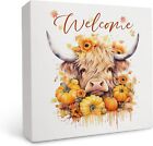 Highland Cow Wooden Signs - Highland Cow Decor, Summer Cow Wooden Signs for Home