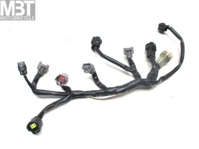 Arnés de cableado inyectores de combustible conectores Yamaha YZF-R6 RJ09 año 03-04 Foto 1 de 3