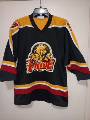 Camiseta Vintage Pee Dee Pride ECHL Juvenil Tamanho M Jersey Express Contak Hóquei *LEIA - Imagem 1 de 4