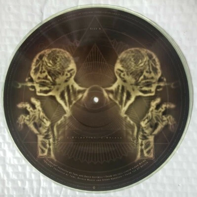TOOL Stinkfist 10" Vinyl Picture Disc & Original Sleeve Vintage Collector Promo  Foto 1 de 4