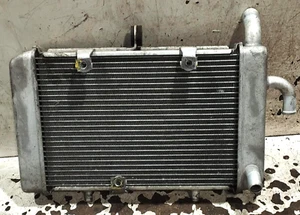 Radiador Agua Yamaha X Max 400 2016 2017 Recambios Usados - Imagen 1 de 3