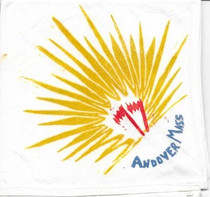 Pañuelo Andover Massachusetts The Spirit of Adventure Council Troop 77 BSA - Imagen 1 de 1
