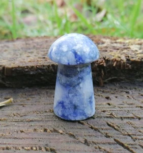 Sodalite Crystal Gemstone Mushroom Polished Carved - Throat Chakra Spiritual - Picture 1 of 6