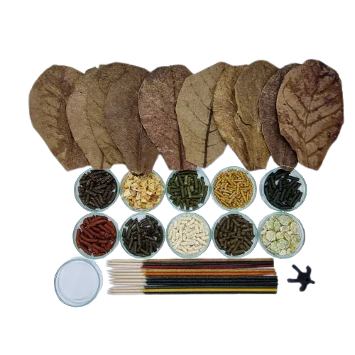 Futter-Set #4 (Shrimp Lollies Futter Sticks Seemandelbaumblätter Glasschale) - Bild 1 von 1