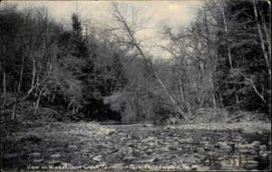 USA Vintage Postcard 1907 Philadelphia Wissahicken Creek Fairmount Botanik AK - Picture 1 of 2