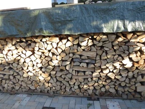 Privatverkauf; Brennholz Kaminholz Buche, 2 Ster abzugeben, Ernte 2024 / Trocken - Bild 1 von 4