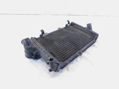 Radiador de refrigeración por agua motor BMW K1 K100LT K100RS K100RT K1100LT K1100RS Foto 1 de 4
