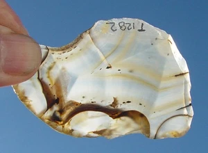 Losa lapidaria de ágata Montana T1282 - Imagen 1 de 11