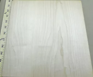 Chapa de madera de arce 11"" x 12"" hoja 2 capas con soporte de madera 1/20""-1/24"" de espesor - Imagen 1 de 1