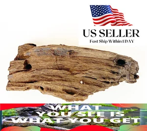 NATURAL MANGROVE DRIFTWOOD #M103 WYSIWYG - AQUASCAPING, SUPER PRICE!! DECORATION - Picture 1 of 8