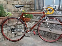 Bicicletta Wilier Triestina Ramata Anni 80 | eBay