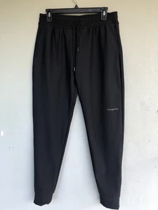 Patagonia Herren Jogginghose M schwarz Performance Velour gefüttert Gorpcore Traveler - Bild 1 von 15
