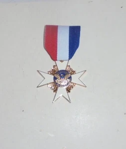 USA President Eagle Freedom Patriot Merit Hero Service Award Medal Badge Pin Vet - Picture 1 of 3