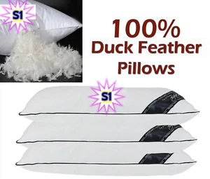 100% Duck Feather Filled Soft Pillows Hotel UK Quality Pillow PACK of 1, 2, 4, 6 - Picture 1 of 5