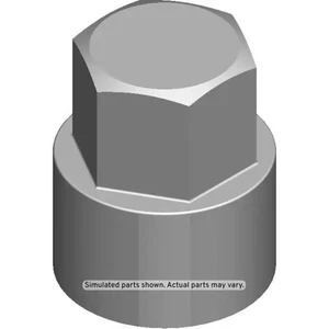 Genuine GM Multi-Purpose Nut 11549425 - Picture 1 of 3