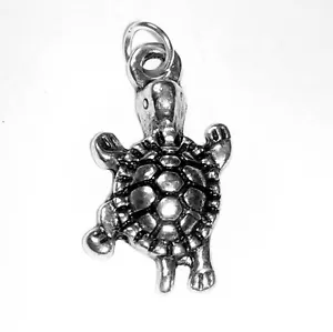 5 Turtle Charms - Picture 1 of 2