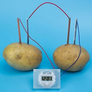 Children bio energy science kit fun potato supply electricity experiments j _ga - Photo 1/10