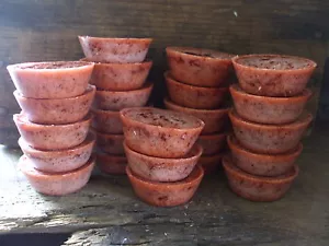 24 Gingerbread Spice Wax Tarts Melts - Picture 1 of 6