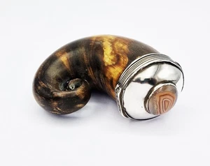 GEORGIAN SCOTTISH SOLID SILVER & AGATE MOUNTED RAMS HORN SNUFF MULL c1820 NAMED - Picture 1 of 10