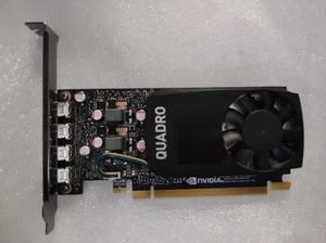 NVIDIA Quadro P1000 4GB GDDR5 Scheda Video + Adattatori mini display port - Foto 1 di 3