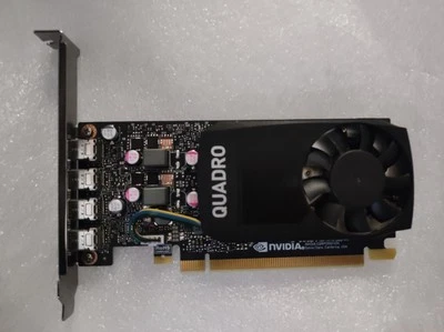 NVIDIA Quadro P1000 4GB GDDR5 Scheda Video + Adattatori mini display port - Immagine 1 di 3