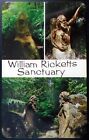 William Rickett?s Sanctuary, Mt. Dandenong Tourist Rd., Near Victoria, Australia