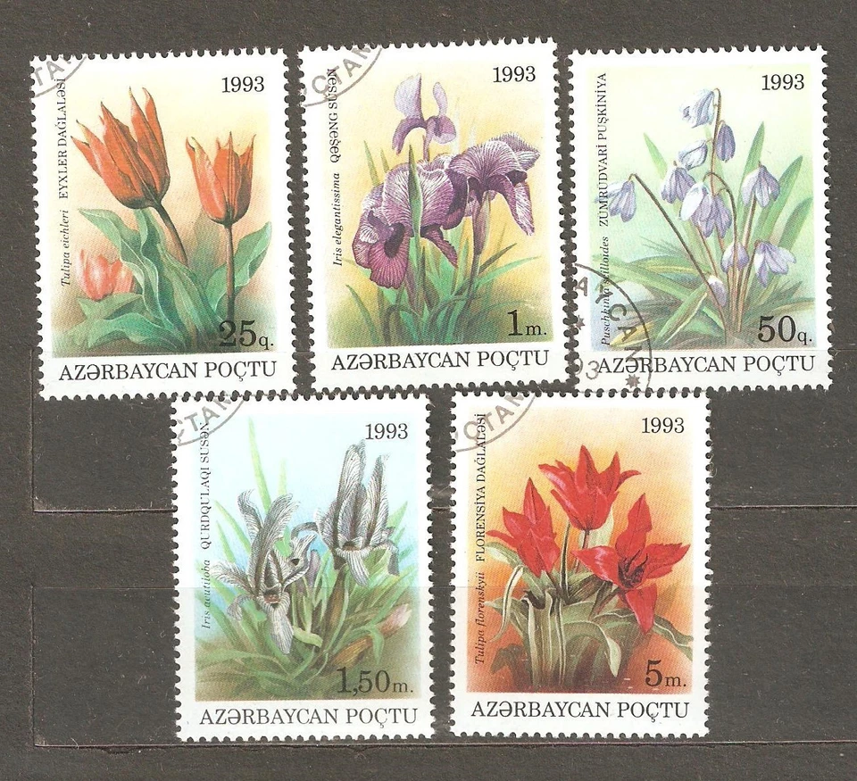 Azerbaijan: 5 used CTO stamps, Flowers, 1993, Mi#91-96 - Image 1 of 1
