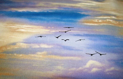 ELISABETH STUDIOS Wolken Himmel Vögel Landscape Patchworkstoff Baumwolle 50x110cm