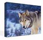 Canvas Print Wall Art Of A Grey Wolf in a Blue Snowy Forest Picture Painting