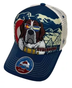 Zephyr NHL Colorado Avalanche RARE “Shades” Curved Bill Trucker Mesh ADJ Hat NWT - Picture 1 of 6