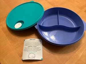 Tupperware Kristallwelle geteilt Mikrowellenschale ~ belüfteter Deckel ~ grün/blau ~ 3284R-2 - Bild 1 von 7