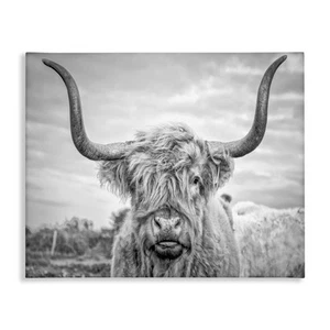 Stupell Industries HOME Black And White Highland Cow Photograph Canvas Wall Art, - Picture 1 of 7