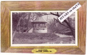c.1908 EXCELSIOR SPRINGS, MO, REGENT SPRING POSTCARD #2 - Picture 1 of 1