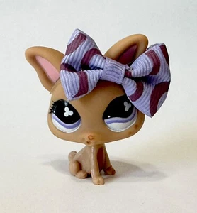 Littlest Pet Shop #461 Shorthair Chihuahua - Picture 1 of 3