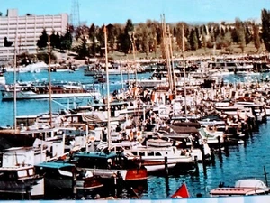 FOTO POSTKARTE SEATTLE YACHT HAFEN SEATTLE WA - Bild 1 von 12