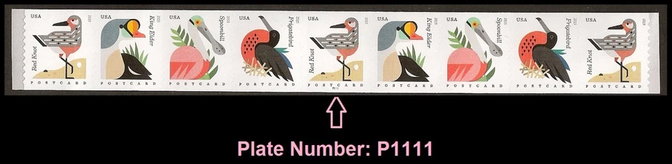 US 4995-4998 4998a Coastal Birds postcard rate PNC9 MNH 2015 - Image 1 of 1