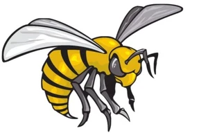 Color Hornet Vinyl Decal Window Sticker Helmets Crafts Car Truck Vehicle Bumper - Picture 1 of 4