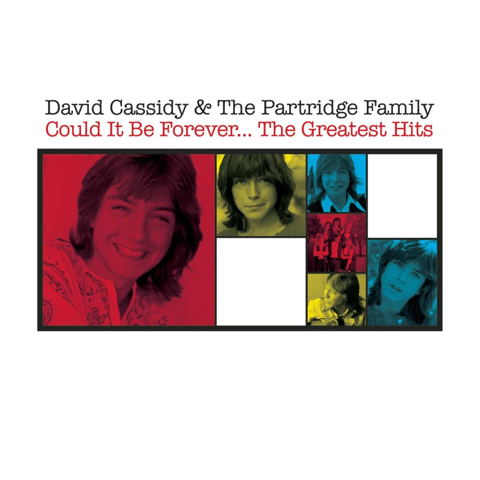 David Cassidy And The Partridge Family The Greatest Hits CD (The Very Best Of) - Image 1 of 1