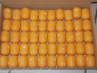 50 leere -Ei Kapseln in   gelb oder orange   Hochzeit,  Adventskalender, Tombola