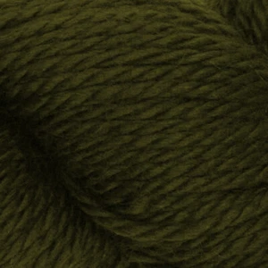 Ella Rae ::Cozy Alpaca Chunky #554:: alpaca acrylic yarn Basil - Picture 1 of 7