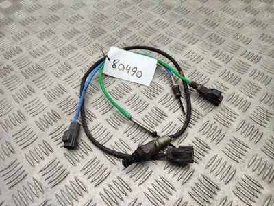 Sonda lambda diesel Ford Transit - Tourneo Connect 2017 sonda di regolazione F1F112B591CB - Immagine 1 di 4