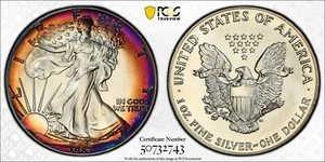 1987 AMERICAN SILVER EAGLE ASE PCGS UNC DETAIL QC RAINBOW TONED TRUEVIEW (D232) - Picture 1 of 7