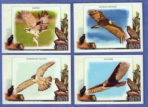 2023 Topps Allen & Ginter TALON-ted ~ Sie wählen ~ Vervollständigen Sie Ihr Set - Bild 1 von 21